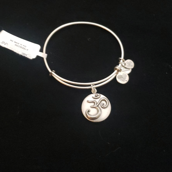 NWT Alex and Ani RS Ohm III 2016 - Picture 2 of 9